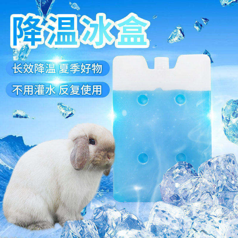 兔子降温冰盒宠物仓鼠龙猫荷兰猪冰晶冰袋冰床散热板夏天消暑用品