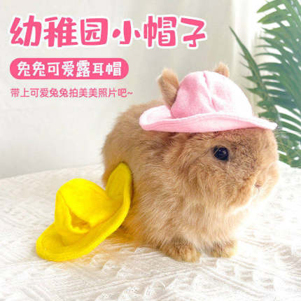 宠物兔兔穿的衣服兔子衣服配饰小帽子日式卡哇伊风小黄帽凹氛围感