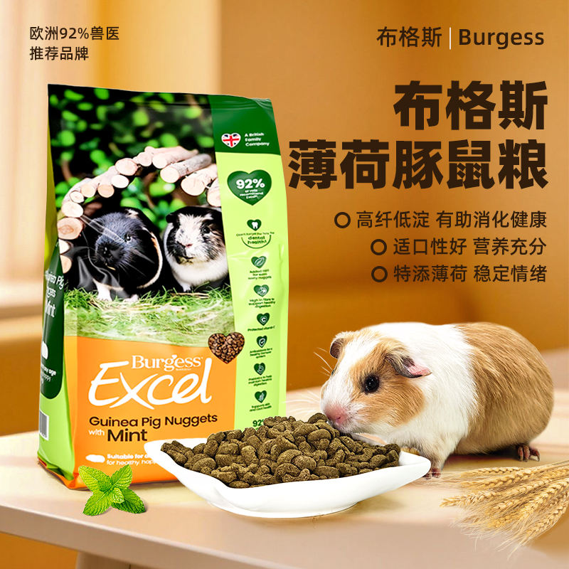 布格斯薄荷口味豚鼠粮荷兰猪饲料