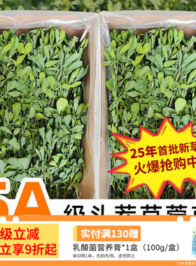 25年新苜蓿草兔子粮草苜蓿草食用草兔粮龙猫粮草干草荷兰猪苜宿草