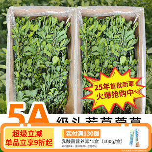25年新苜蓿草兔子粮草苜蓿草食用草兔粮龙猫粮草干草荷兰猪苜宿草