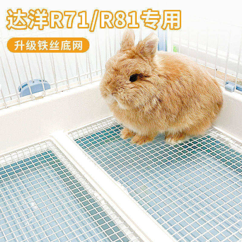 达洋兔笼原厂升级铁丝底网r81r71图片