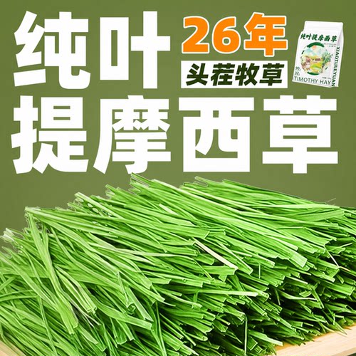 26年新草7A级北提纯叶无杆提摩西