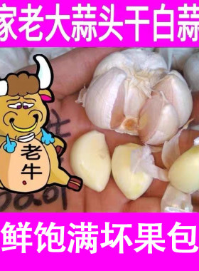 大蒜头包邮农家自产促销大蒜头