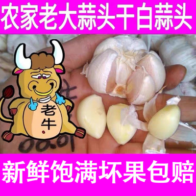 大蒜头包邮农家自产促销大蒜头