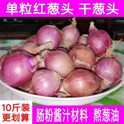 新鲜干葱头珠葱小洋葱圆葱红葱头炸葱油广东肠粉酱汁当天发货包邮