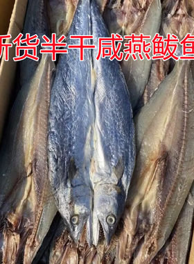 鲅鱼干咸鲅鱼半干燕鲅鱼500g尖嘴鲅鱼海产干货咸鱼干马鲛鱼干