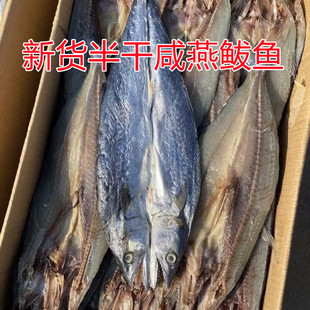 鲅鱼干咸鲅鱼半干燕鲅鱼500g尖嘴鲅鱼海产干货咸鱼干马鲛鱼干