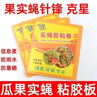 诱敌实蝇粘胶板果蝇诱粘板果园针蜂粘蝇贴瓜果柑橘实蝇食蝇果苍蝇