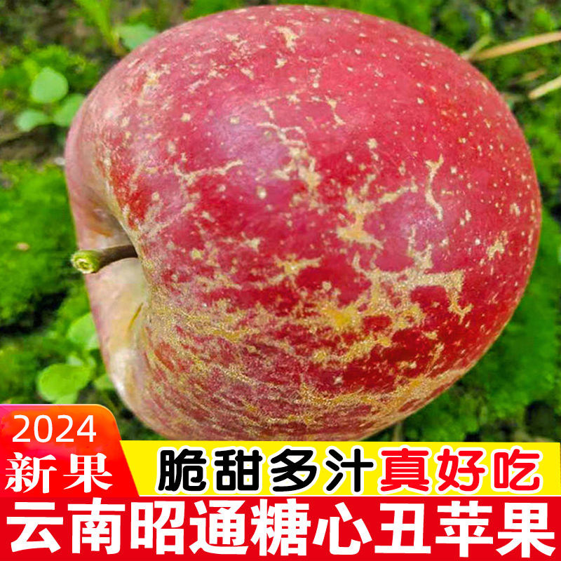 云南昭通丑苹果正宗冰糖心苹果新鲜水果当季现摘整箱10斤包邮