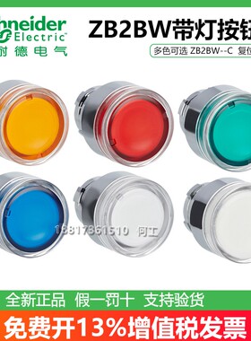 施耐德ZB2BW31C/BW33C/BW34C/BW35C/BW36C红绿XB2系列带灯按钮头