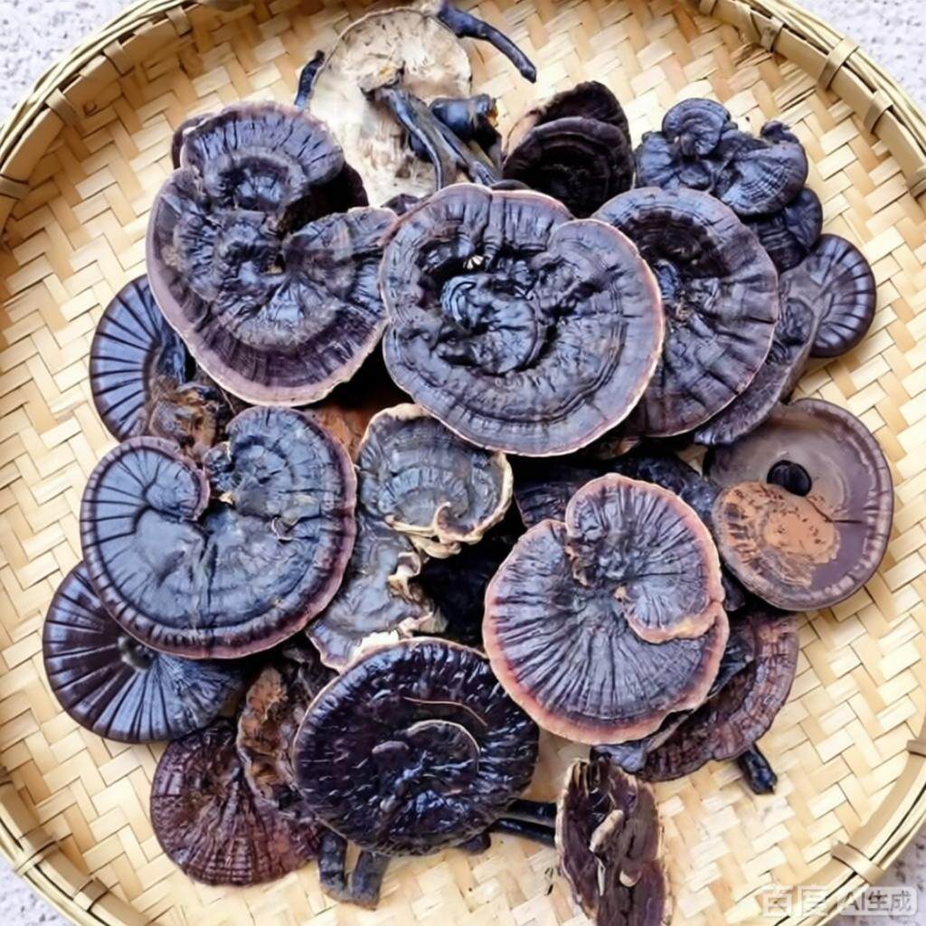 福建仿野生灵芝高山赤灵芝林芝装特级整枝可切片泡酒黑灵芝500g