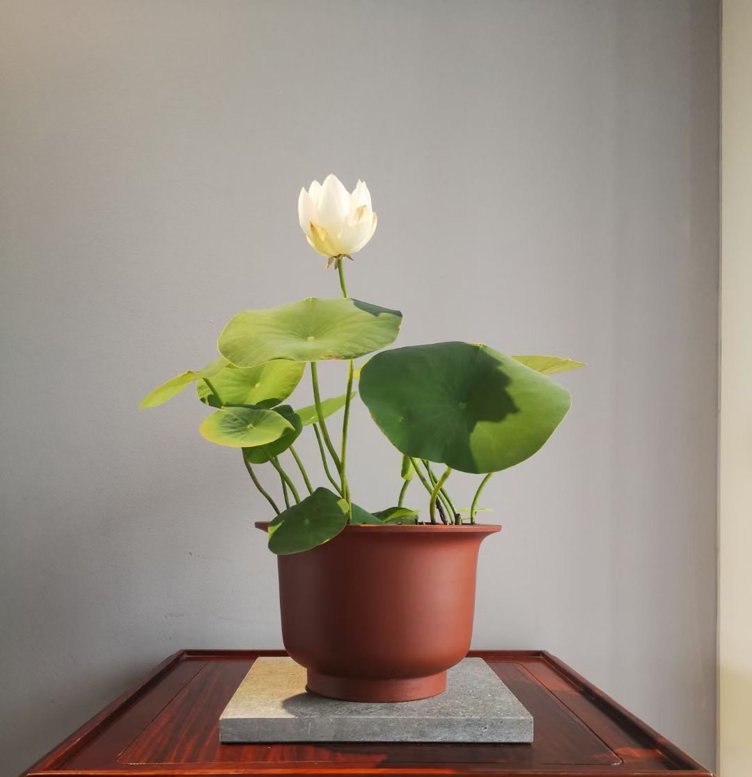 ���� �۸�ԭ����ˮ�� С������ �ֹ���ɰ�� ������������������