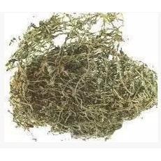 中药材 垂盆草 正宗垂盆草 新货垂盆草500克要1斤包邮送运费险