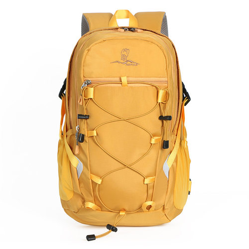 户外运动包百搭徒步登山包25L