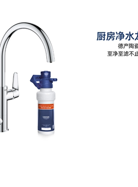 德国进口波蓝净水器直饮水龙头厨房龙头抽拉式二合一31721