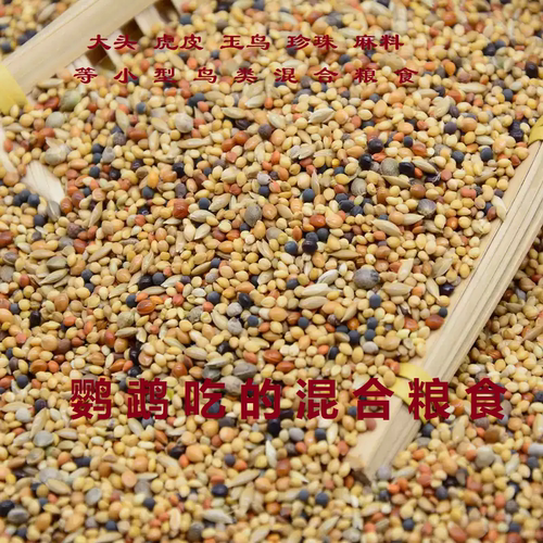 初栖宠物鸟粮鸟食适口性好