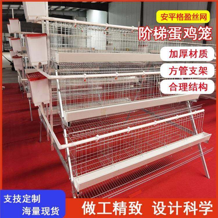 加粗蛋鸡笼镀锌不锈钢阶梯式蛋鸡笼出口标准三四层可选,畜牧/养殖物资,特种养殖设备,淘宝优惠券,粉丝福利购,淘宝优惠卷