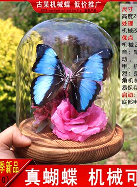 机械闪蝶永生花玻璃罩摆件礼物