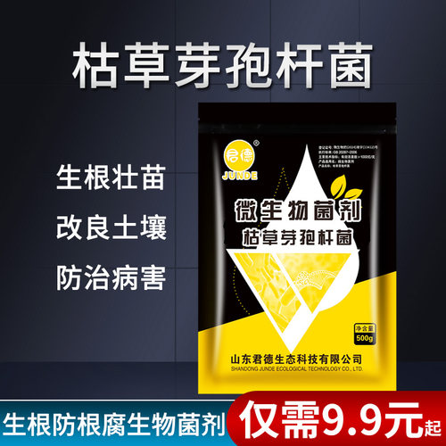 枯草芽孢杆菌根腐病防治无药残留