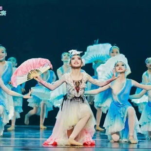 第十三届小荷风采风中灵雀舞蹈演出表演服古典舞儿童舞台剧秧歌服