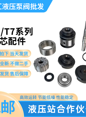 双联叶片泵配件T6C/T6D/T6E/T6CC/T6DC/T6DD/T7泵芯泵轴定子转子