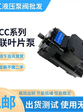 双联高压油泵T6CC-012/028/031-006/010/014-1R001234-C100叶片泵