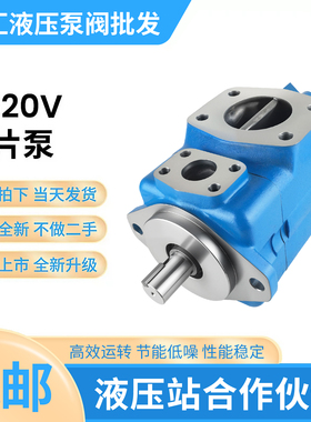 高压液压泵4520V-50A11/60A12/67A14-1/86AA/BB/CC-22R双联叶片泵