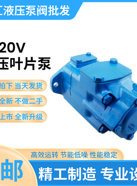 高压叶片泵3520V-21A14/25A14/30A14-1AABBCCDD-22R双联液压油泵