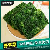 速冻荠菜4斤冷冻新鲜野菜野荠菜馅馄饨饺子馅荠荠菜食材 野菜馅