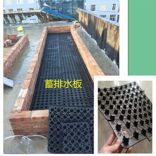 500mm*500mm方块蓄排水板楼顶阳台花池种菜种花滤水板+阻根挡土布