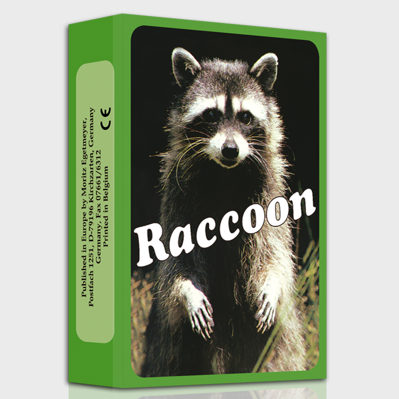 欧卡牌oh卡Raccoon-浣熊卡心里咨询心灵图卡投射卡潜意识图卡