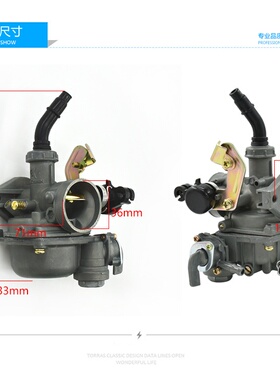 摩托车配件化油器PZ19大阳100 DY100弯梁车三轮摩托车110型化油器