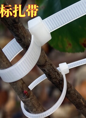 8*350mm国标塑料尼龙宽扎带加长一拉得卡扣强力固定勒死狗束线带4