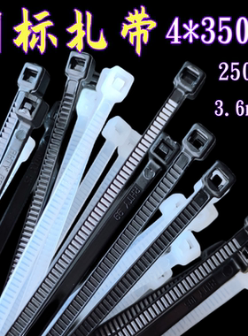 自锁式国标塑料扎带尼龙扎线固定卡扣4*350mm一次性防盗封条札带