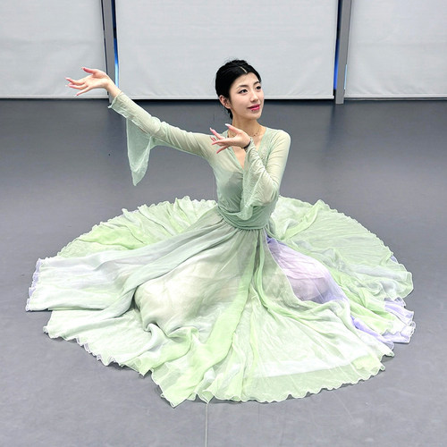 江南飞雁原创舞蹈裙子