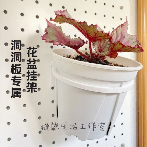 洞洞板圆形挂式花盆托架可定制