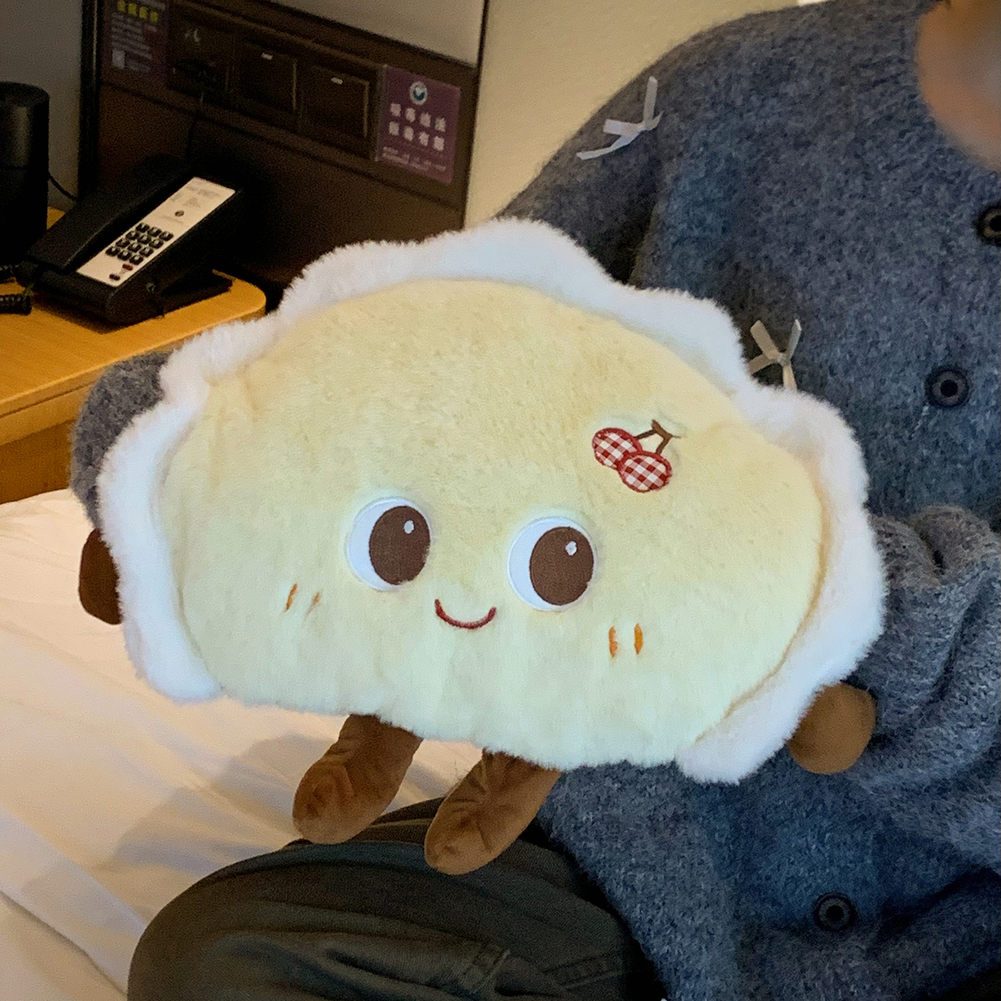 2025新款电热水袋宿舍防爆暖水袋热宝可爱毛绒暖手宝女生用可插手