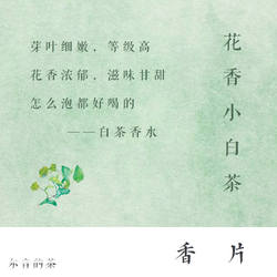 尔音/{湖上雪}系列2023年建阳优雅花香小白茶甘甜入喉【香片】