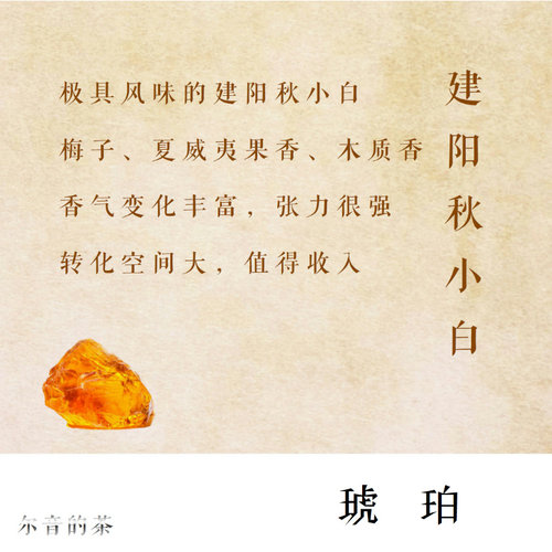 尔音/{湖上雪}系列2019年奶油香建阳苏元秋小白寿眉【琥珀】