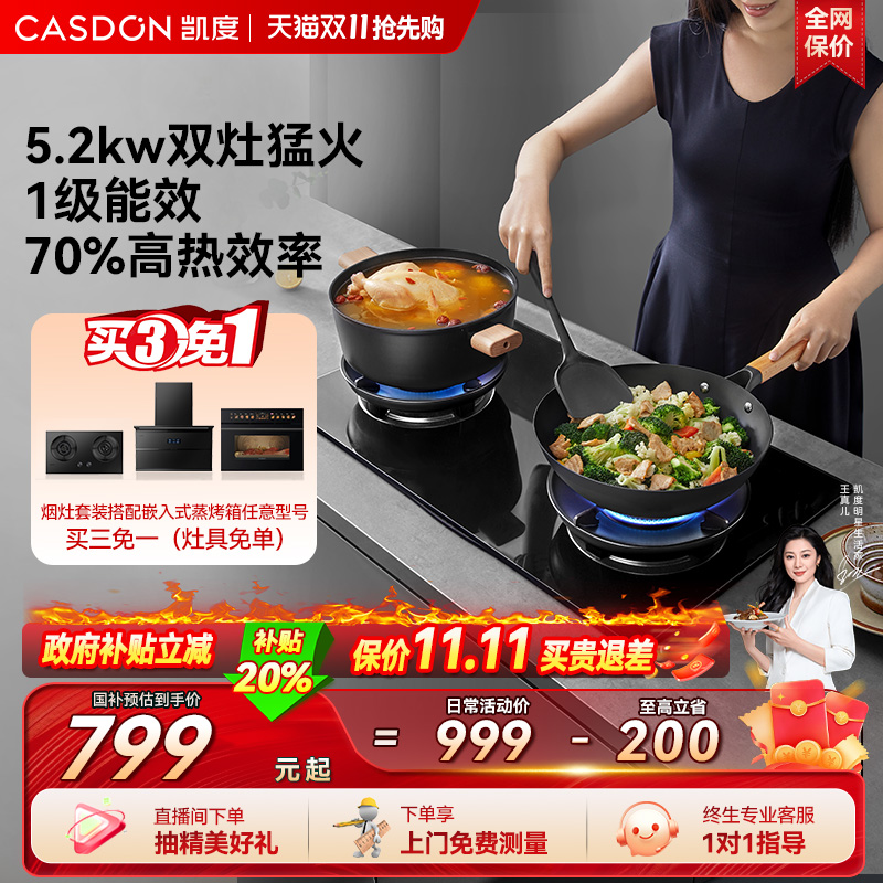 凯度T3BX-B家用猛火燃气灶煤气灶定时灶天然气双灶台U10neo系列