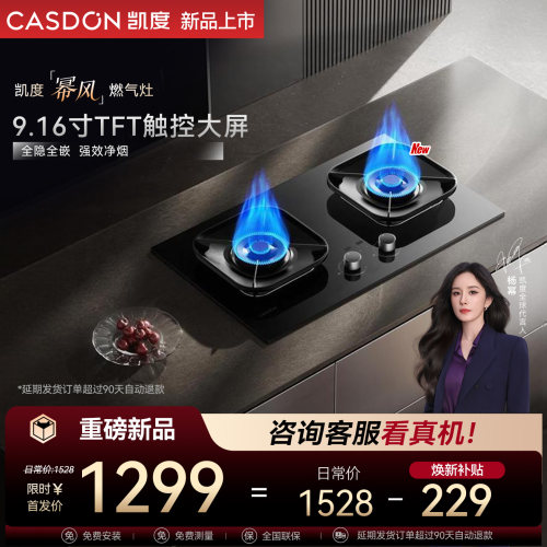 凯度幂风灶具ZT100 Muse猛火燃气灶煤气天然气液化双换装台家用