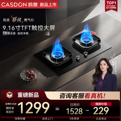凯度幂风灶具ZT100 Muse猛火燃气灶煤气天然气液化双换装台家用