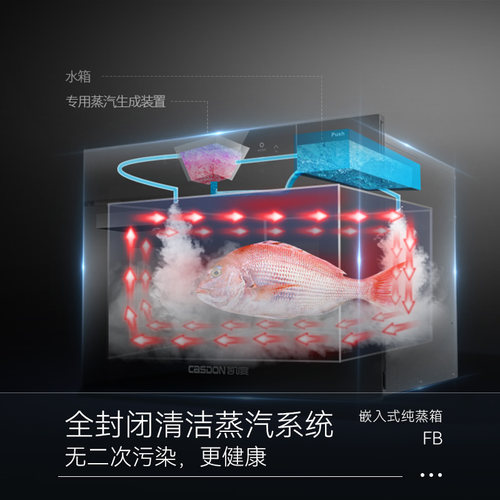 CASDON/凯度电蒸箱家用嵌入式