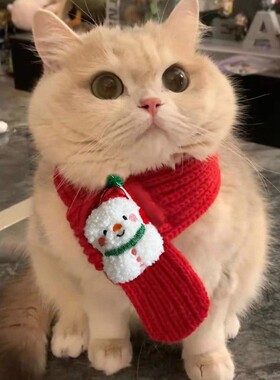 红色围脖宠物围巾可爱小狗圣诞新年毛线配饰冬季狗狗保暖猫咪招财