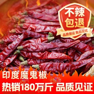 印度魔鬼椒辣椒干500g特辣干辣椒魔鬼辣椒超级变态辣商用切段磨面