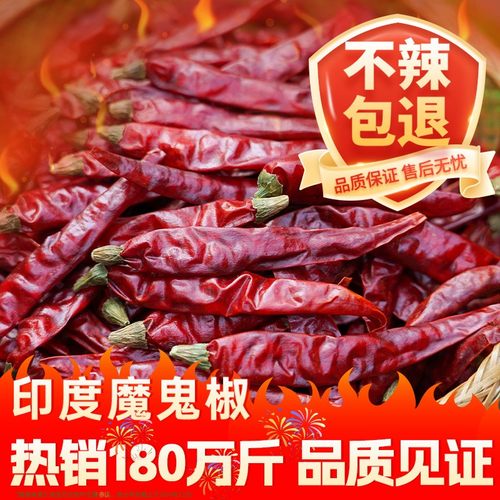 印度魔鬼椒辣椒干500g
