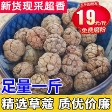 草寇老蔻草豆蔻草扣粉卤水炖肉火锅香料调料大全包邮发250g非500g