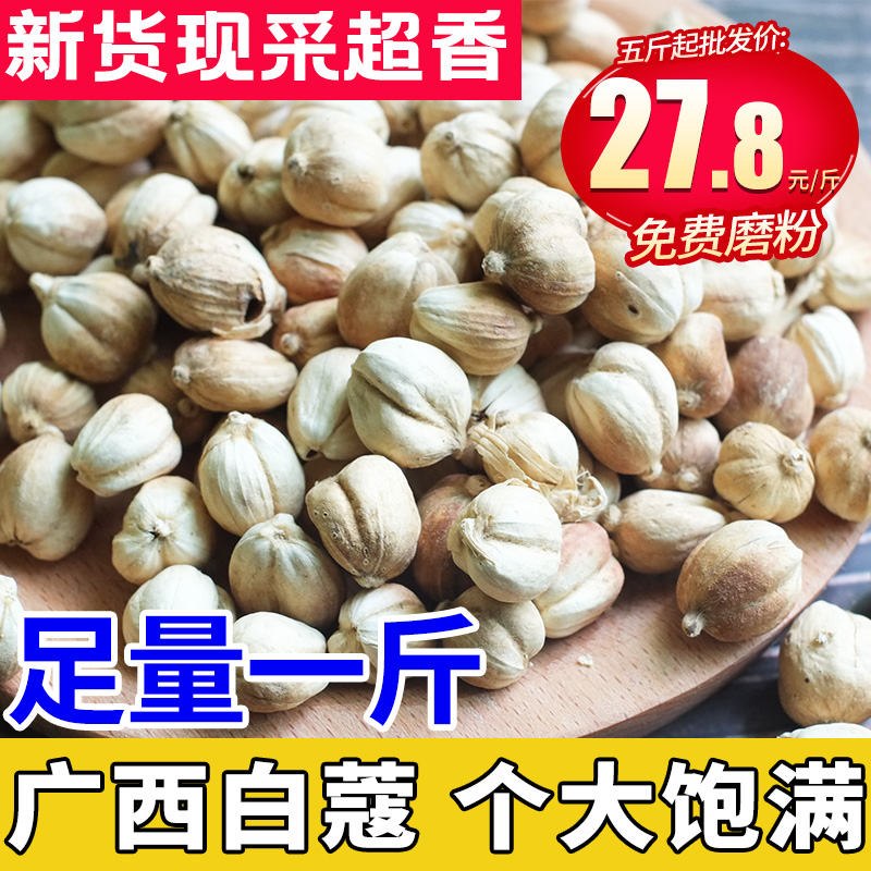 川渝味道白蔻饱满清香