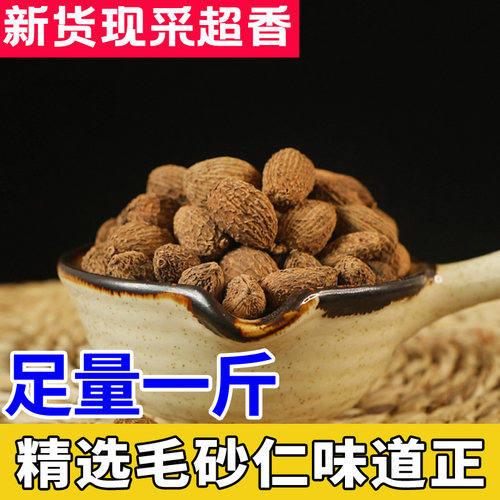 砂仁500g毛春砂米滋补香料卤料